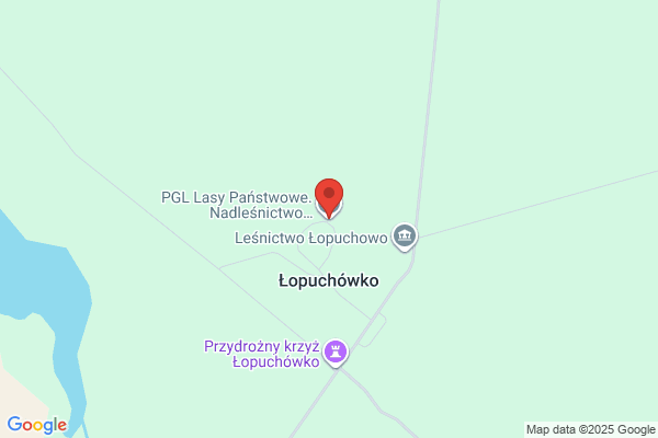 Nadlesnictwo Lopuchówko