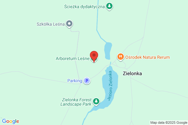 Arboretum Lesne Akademii Rolniczej w Poznaniu