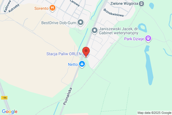 Polski Koncern Naftowy Orlen SA. Stacja paliw