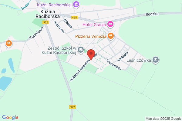Rafex. Elektroniczne systemy zabezpieczen. Kubinski R.