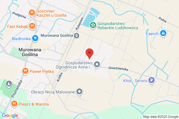 Binieda Janusz. Mechanika pojazdowa