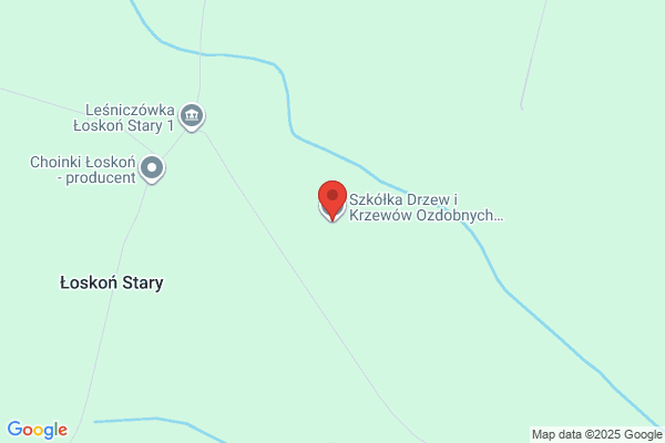 Krokowski Leslaw, mgr inz. Szkólka drzew, krzewów i choinek