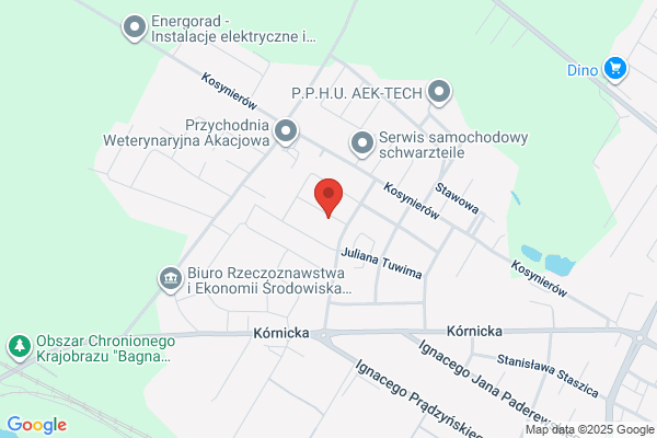Bartkowiak Zygmunt. Warsztat naprawy samochodów