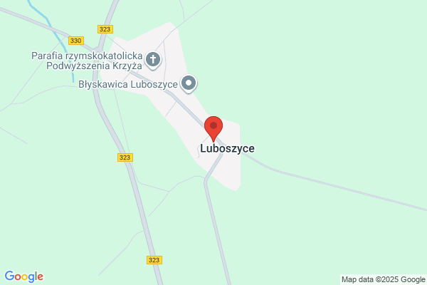 Bielawscy Maria i Slawomir, lek. wet. Lecznictwo i profilaktyka