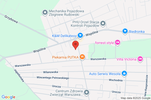 Sadulska Wanda, adwokat. Kancelaria
