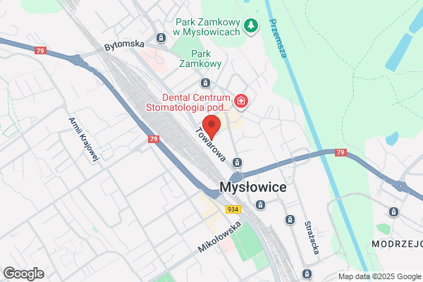 Zamir. Zamlynski I.