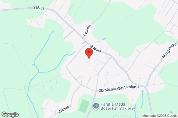 Domar. ZPHU. Grzybek J.