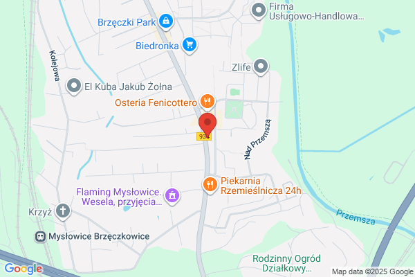 Top-Geo. Ireneusz Natkaniec