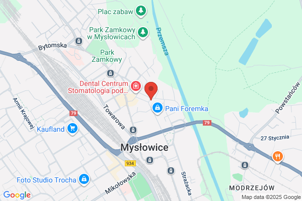 Kogut Janusz. Zaklad zlotniczy