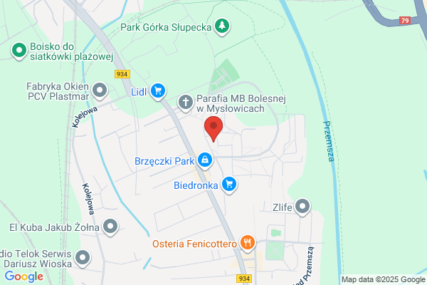 Delfina. Paluch-Smoczynska B.