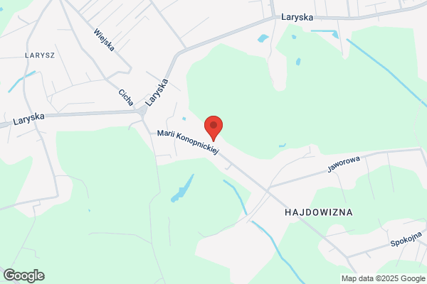 Drozdzowska Jadwiga. Kwiaciarnia