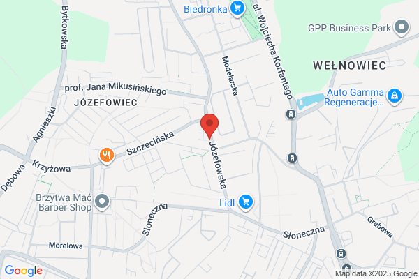 Zaluczkowska Alicja. Kwiaciarnia