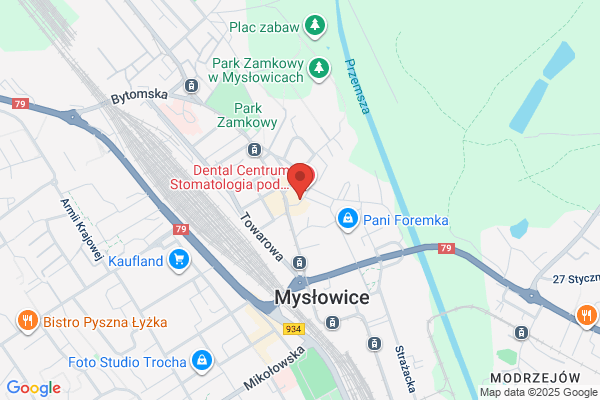 Budzinski. Sp. z o.o. Firma zegarmistrzowska