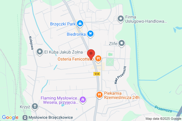 Silesia Med. NZOZ