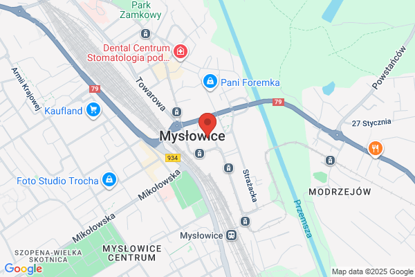Sojusz Lewicy Demokratycznej. Rada miejska