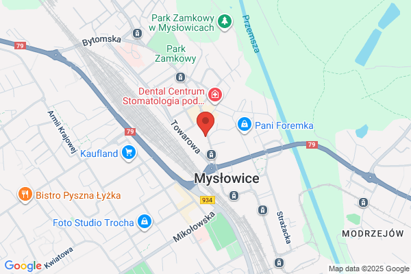 Specjalny Osrodek Wychowawczy Zgromadzenia Sióstr Milosierdzia sw. K. Boromeusza
