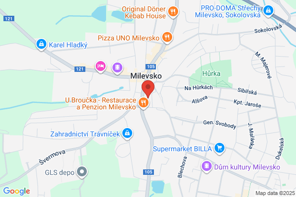 Wojtala Janina. Pizzeria