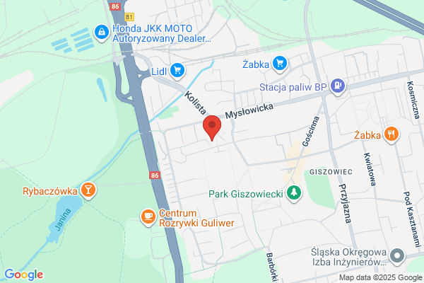 Losos. Restauracja rybna, ryby, owoce morza