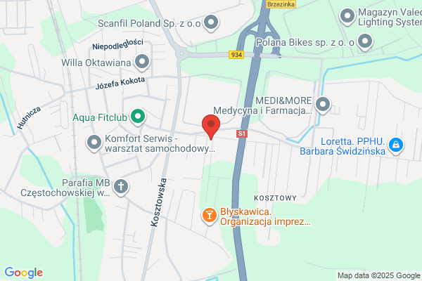 Auto-Gonerski. Serwis samochodowy