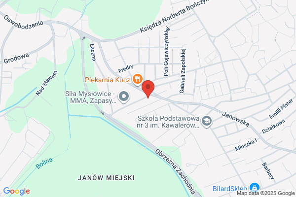 Rosól L. Warsztat samochodowy