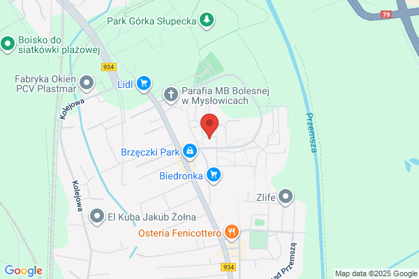 Król Ewelina. Wynajem samochodów osobowych