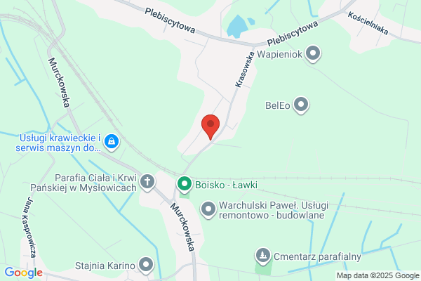Buras Aleksandra. Art. ogólnospozywcze i przemyslowe
