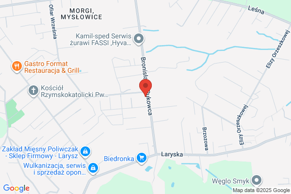 Krzewinka. Projektowanie i pielegnacja ogrodów. Gwozdzik K.