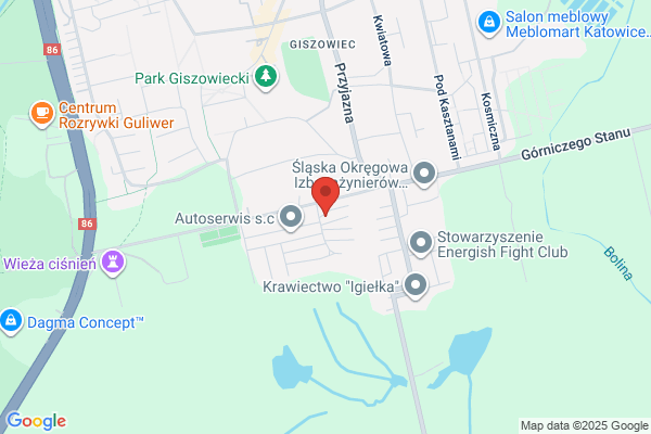 Kingsford-Golinowska Maria. Tlumacz przysiegly jez. angielskiego