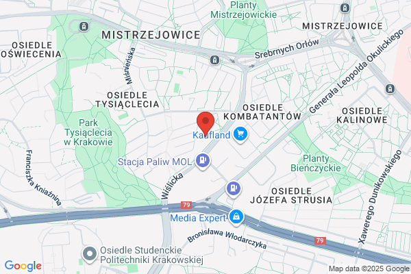 Red-Bus. Przewozy pasazerskie mikrobusami