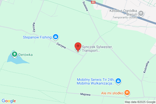Turczyn Sylwester. Uslugi transportowe