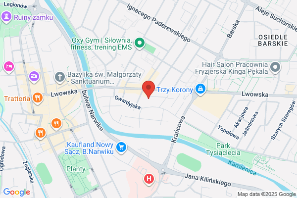 Niweleta. Pracownia projektowa. Koszkul J., mgr inz.