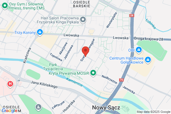 Styl. Agencja reklamowa. Zielinski A.