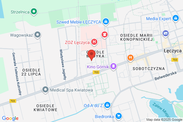 Autogral. Leczycki Z.