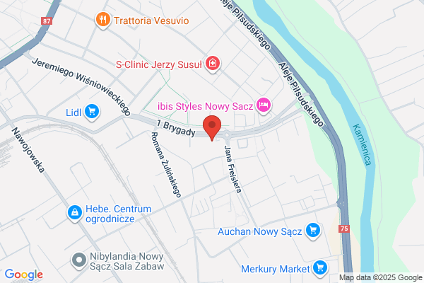 Auto Ares. Wypozyczalnia samochodów osobowych. Obsluga wesel