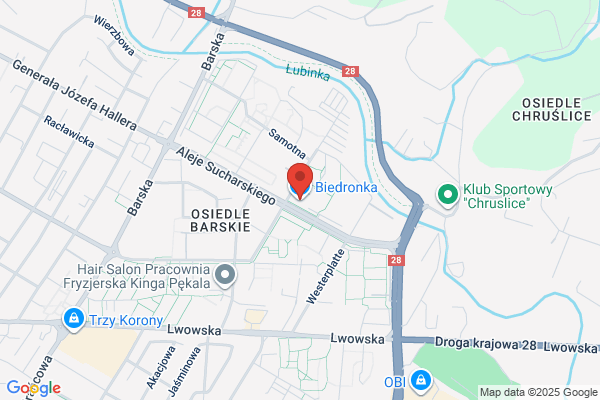 Biedronka. Dyskont spozywczy