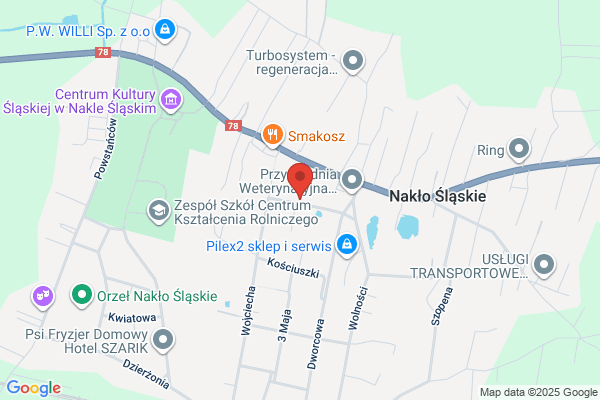 Czaja Czeslaw. Zaklad elektromechaniczny