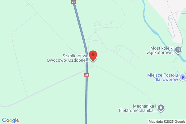 Dziewior Franciszek. Sprzedaz krzewów ozdobnych