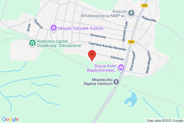 Schwarz Marek. Transport ciezki, krajowy i miedzynarodowy
