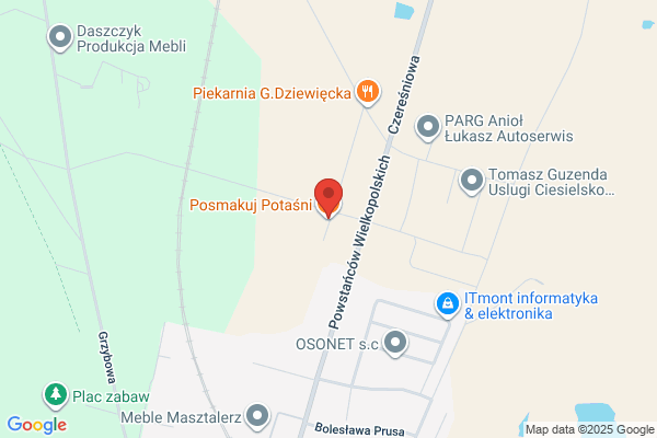 Sroka Agnieszka. PPUH. Wedliniarstwo
