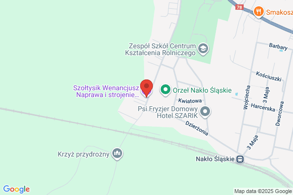 Szoltysik W. Naprawa, strojenie pianin i fortepianów