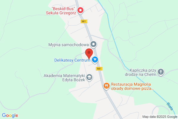Pacyna Danuta, agent ubezpieczeniowy