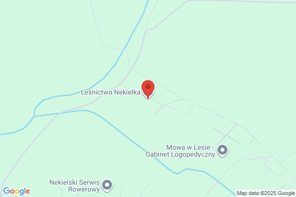 Lesnictwo Niekielna. Nadlesnictwo Czerniejewo