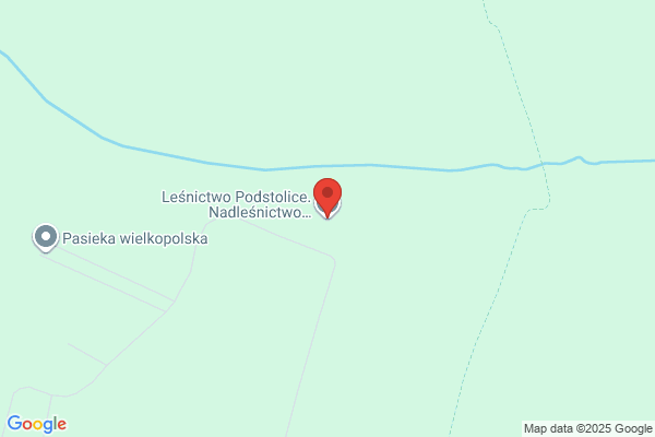 Lesnictwo Podstolice. Nadlesnictwo Czerniejewo