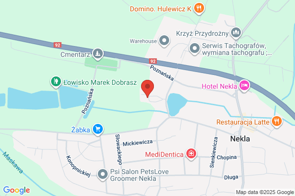Mis Uszatek. Przedszkole