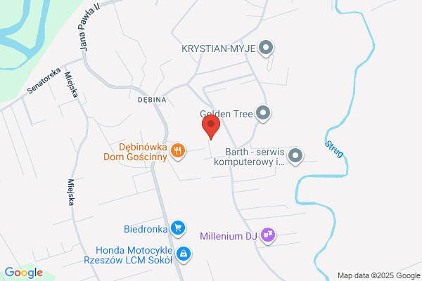Eltronic. Montaz i naprawa domofonów. Rózanski J.