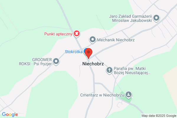 Grafster. Wardzinska- Grzebyk T., Grzebyk S.