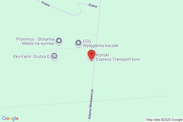 Konwój. Firma transportowa. Redziniak K.