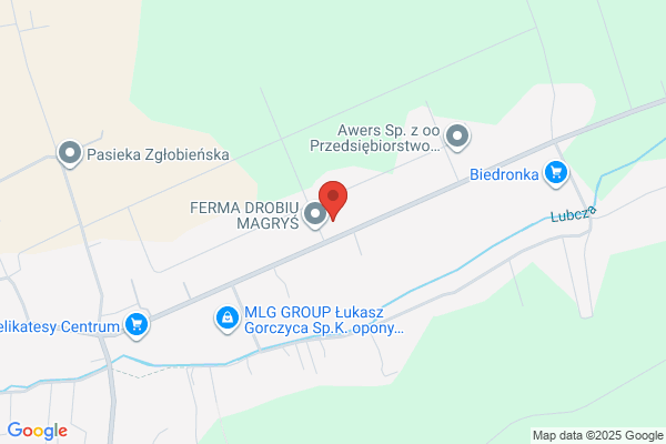 Sanecki Adam. Uslugi geodezyjne