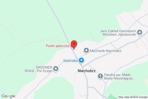 Wiejski Osrodek Zdrowia SPZOZ
