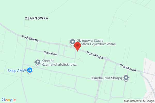 Sims. Zaklad elektroniczny